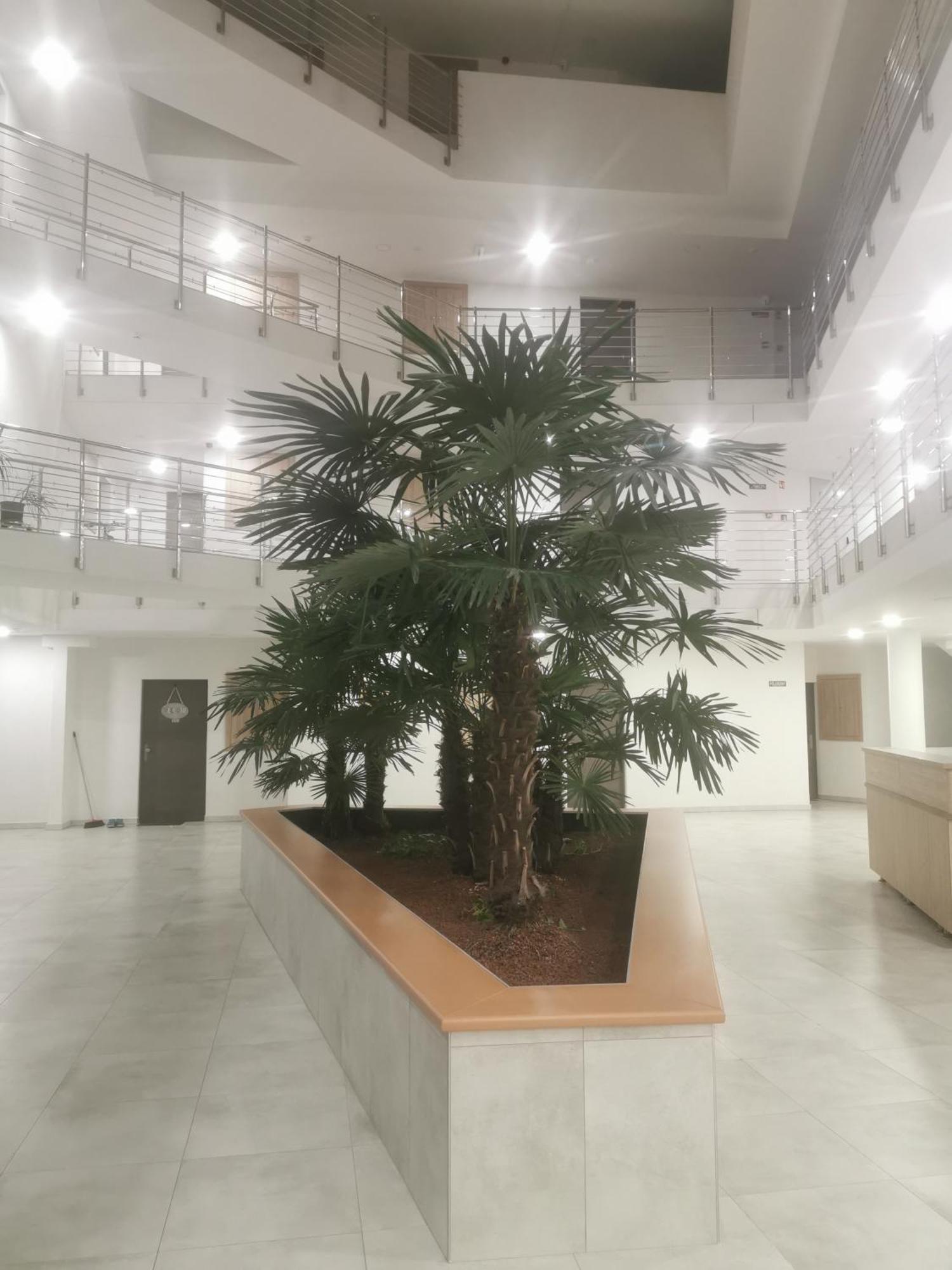 Beli Apartman Melygarazzsal Heviz Bagian luar foto